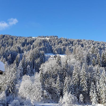 Appartement Les 3 Cols Morzine, 2 Pieces, 2 Personnes Exterior photo