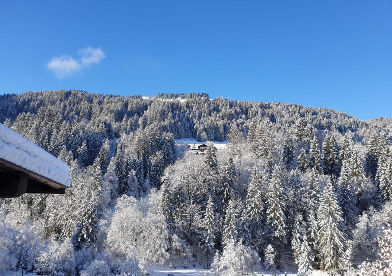 Appartement Les 3 Cols Morzine, 2 Pieces, 2 Personnes Exterior photo
